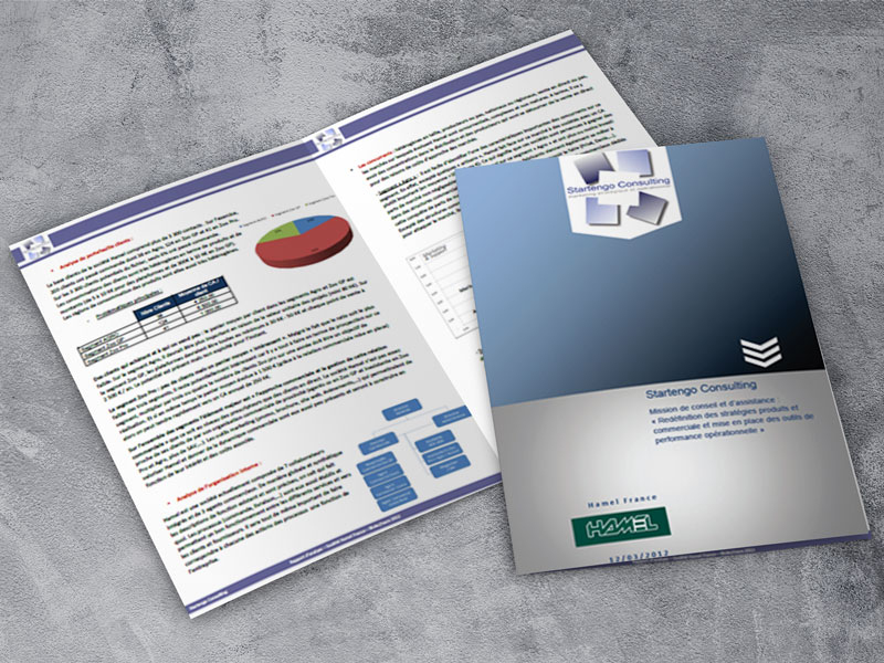 Deployment of the ASOM Startengo Model (Analysis-Strategy-Operation-Measure)