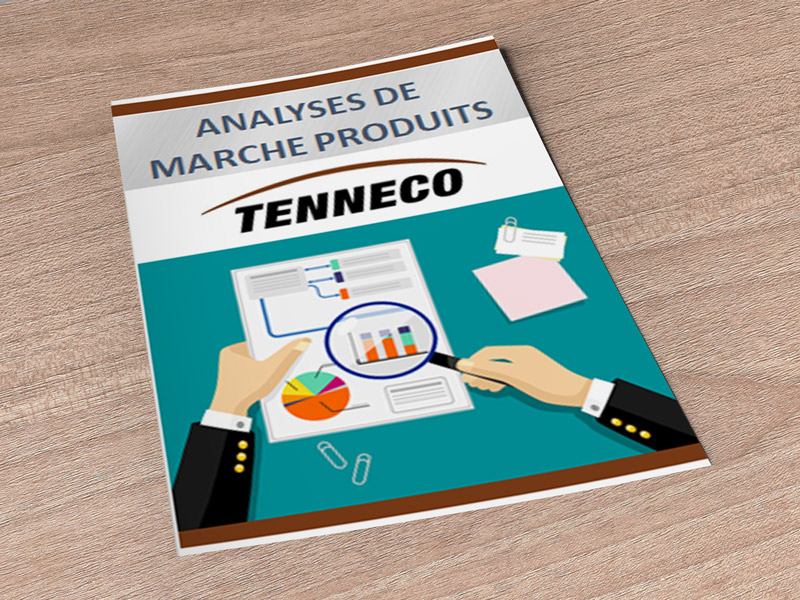 Etude de marché "Synergie" - TENNECO