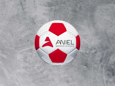 Ballon de foot - ANIEL